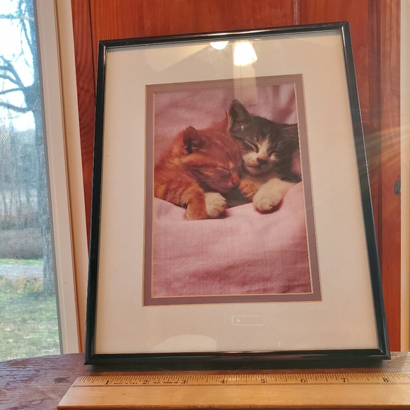 ☆ SUPER CUTE SLEEPING KITTENS SNUGGLING ☆ WALL ART - Picture 2 of 8